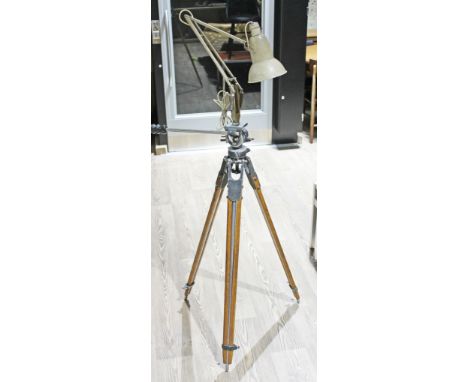 A Herbert Terry & Sons angle poise lamp mounted on tripod base.