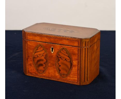 A GOOD GEORGE III SATINWOOD, CROSSBANDED AND SHELL ELLIPSE INLAID CANTED-OBLONG TEA CADDY, the interior with two lidded compa