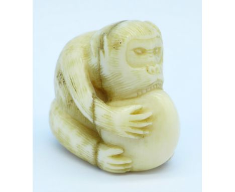 A carved ivory netsuke of an ape biting a nut