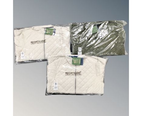Three lady's Regatta padded coats, 2 x light vanilla size 14 and 16, 1 x grape leaf size 14, tagged and new. (3)