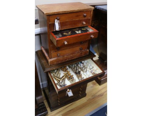 Two table specimen cabinets containing British and exotic butterflies and moths, late Victorian/early 20th century and later,