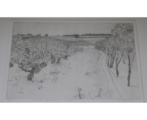Anthony Gross, etching, Monsieur Bernedes Vineyard, signed in pencil, 20/50, 25 x 35cm
