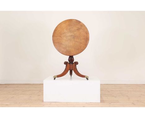 A William IV oak tripod table,c.1830, the thick circular top constructed from satin maple or walnut, with a reeded edge above