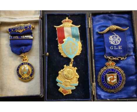 Distinguished service medal, 1902 coronation buffalo jewel, RAB silver &amp; enamel jewel