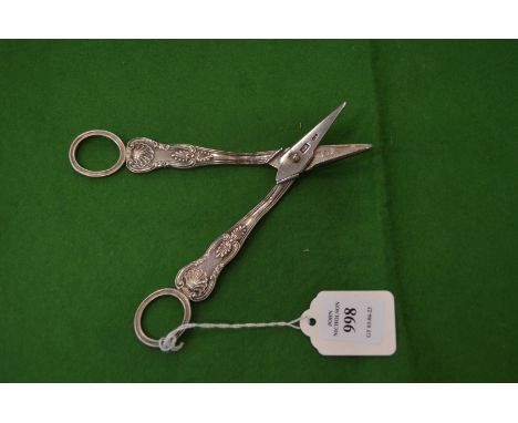 A pair of silver grape scissors.