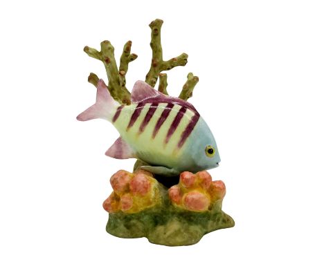 Stunning sculpture depicting a fish with purple stripes swimming through the coral reef.Royal Worcester backstamp. This item 