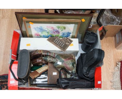 A box of collectables including a Canon camera, two modern watercolours of flowers, cased binoculars, Scandinavian type paint