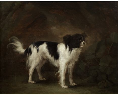 Johann Gottlieb Hackert (Prenzlau 1744-1773 Bath)A spaniel in a landscape signed and dated 'J. G. Hackert p: 1772' (lower lef