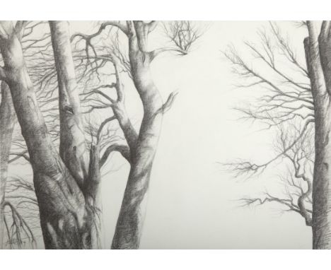 JULIAN HILLS "Powerscourt", pencil and graphic stick, on fabriano paper, 2004, 20.5" (73cm). (1)