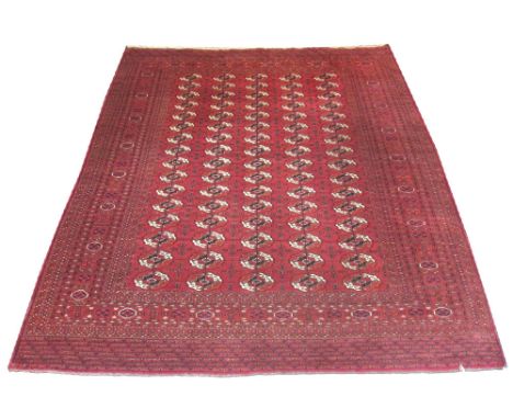 VERY FINE VINTAGE BOKHARA CARPET, 313cm x 243cm, repeat tribal gul inside multiple corresponding bands and borders and kilim 