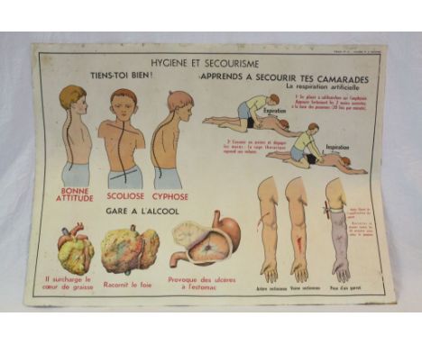 Vintage French Double Sided Anatomical / Medical  Educational Poster produced by La Maison des Instituteurs, 90cms x 68cms