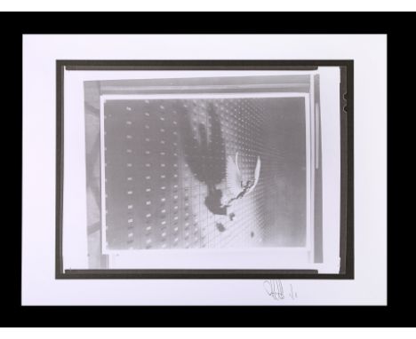 Four transparencies and eight negatives of assorted elements of various poster concepts and graphics with a Feref Proof Print