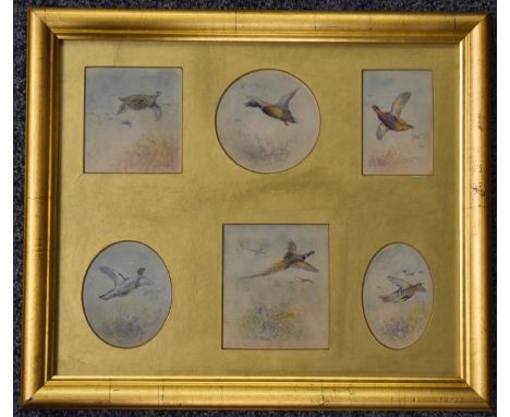 Jas (James) Stinton (Royal Worcester artist 1870-1961), framed set of six watercolours of birds in flight, four being signed,