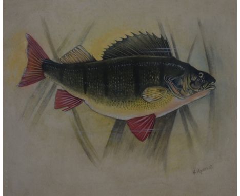 Harry Ayrton (Royal Worcester artist), watercolour of a perch, signed lower right, 18 x 21cm, in gilt frame
