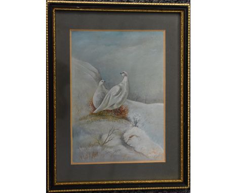 James Stinton (Royal Worcester artist 1870-1961), watercolour study of two white grouse in a snowy landscape, signed lower mi