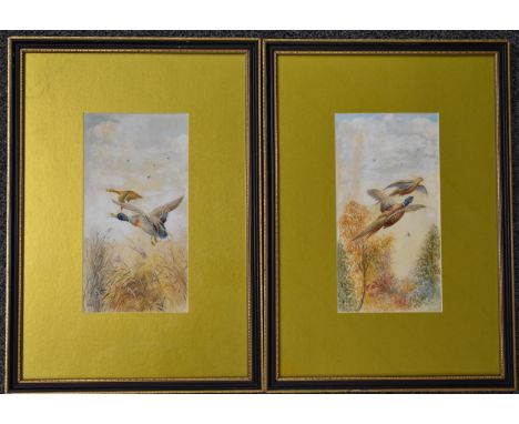 William E Powell (Royal Worcester artist), pair of watercolour studies of birds in flight, both signed and dated 26 lower rig