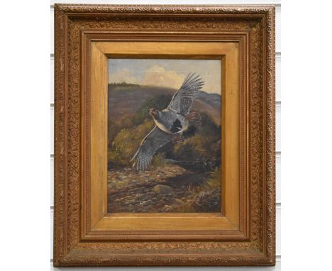 M. Heywood oil on canvas study of a grouse in flight with river landscape beyond, signed lower right, 29 x 22cm, in gilt fram