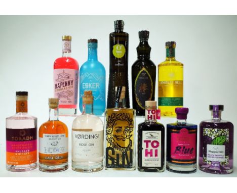 12 BOTTLES GINToradh Rhubarb and Ginger (70cl); Tameside Distillery Earl Grey (50cl); Vordings Rose (70cl); Du Grand Nez a la