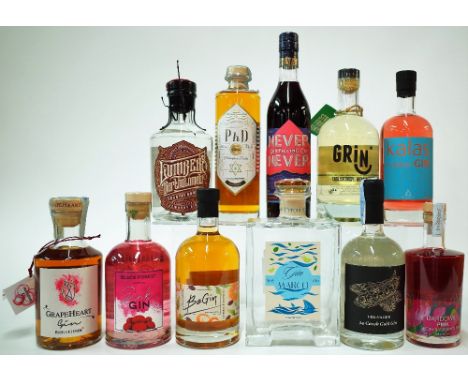 11 BOTTLES GINGrapeHeart Profumato all'Amarone (50cl); Black Forest Pink (50cl); BeGin Espresso and Orange (50cl); Marco Il B