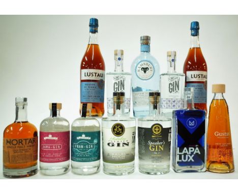 12 BOTTLES SPIRITSNortar Single Malt Whisky Cask Strength (50cl); Gagygnole Dama-Gin and Fran-Gin (50cl); Kalki Moon Premium 