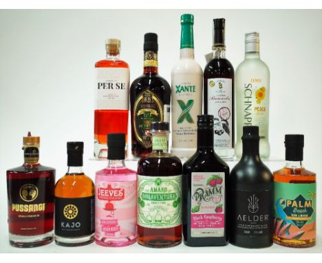 12 BOTTLES SPIRITSHeidelberg Spirits Pussanga (50cl); Kajo Arctic Cloudberry Liqueur (35ml); Jeeves Pink Gin Liqueur (50cl); 