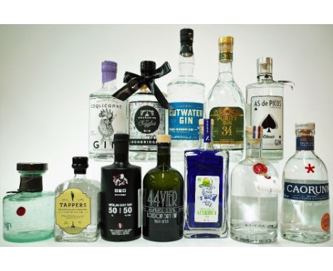 12 BOTTLES GINNairobi Distillers Procera (50cl); Tappers Brightside Coastal (50cl); Rebels Gin Berlin Dry (50cl); 44vier Lond