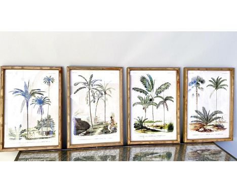 BOTANICAL PRINTS, a set of four, framed and glazed, 50cm H x 35cm W. (4)