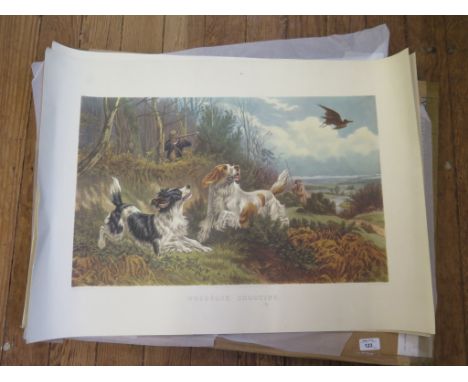 After Basil Bradley (1842 - 1904) Woodcock shooting and grouse shooting Colour lithograph published 1880 by G.P. McQueen 44cm