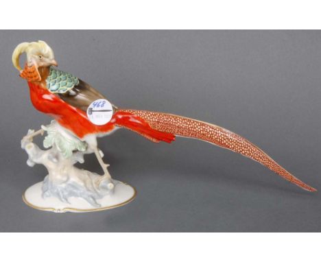 Goldfasan. Hutschenreuther 20. Jh. Porzellan, bunt bemalt. Entwurf und sign. „K(arl) Tutter“, H=21,5 cm. (min. best.)