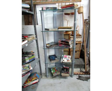 A glass and metal display shelf