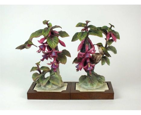 A pair of Royal Worcester models of Ruby-Throated Hummingbirds on Fuschia by Dorothy Doughty designed for the Amercian Birds 