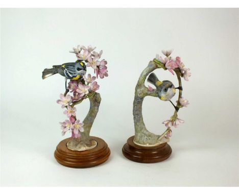 A pair of Royal Worcester models of Myrtle Warblers by Dorothy Doughty male and female, printed marks in black, each on a cir