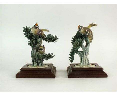 A pair of Royal Worcester models of Golden Crowned Kinglets perched upon Noble Pines, designed by Dorothy Doughty circa 1961,