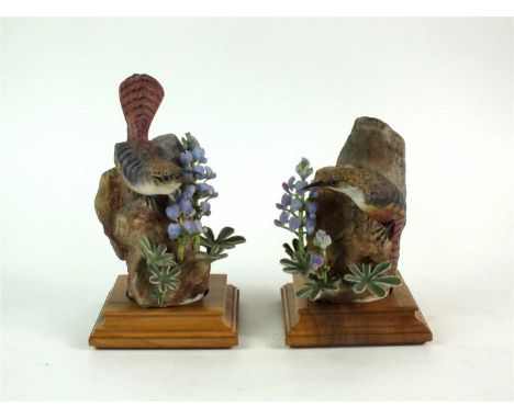 A pair of Royal Worcester models of Canyon Wrens with Wild Lupin designed by Dorothy Doughty male and female, printed factory