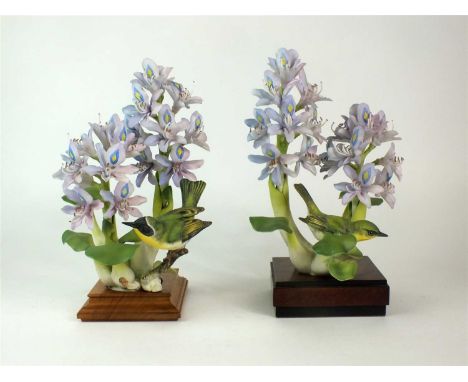 A pair of Royal Worcester models of Yellow-Throats and Purple Hyacinth by Dorothy Doughty male and female, printed factory ma