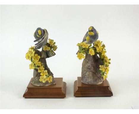 A pair of Royal Worcester figures of Audubon Warblers on Palo Verdi male and female, designed by Dorothy Doughty for the Amer