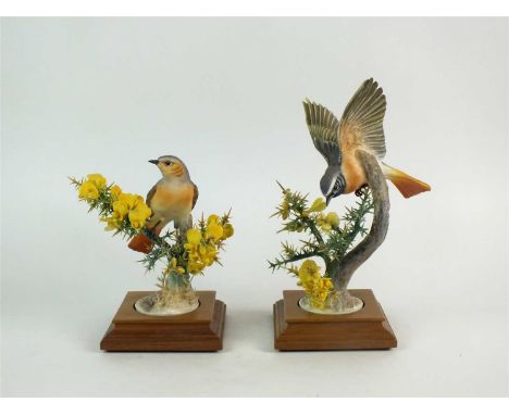 A pair of Royal Worcester models of English Redstarts on Gorse in Springtime modelled by Dorothy Doughty, cock and hen, set o