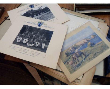 A folio containing unframed watercolours mainly architectural and two mounted rowing team photographs from Emmanuel College 1