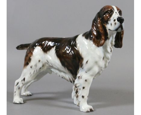 A Royal Doulton model of a Springer Spaniel 'Ch Dry Toast' HN2515 (AF).