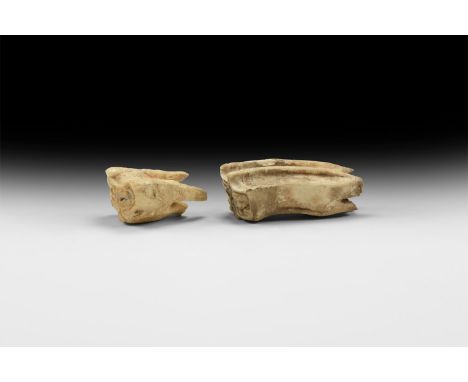 Quaternary Period, 2.6 million years BP. Two Ice Age horse teeth from gravel deposits from the Anglian ice sheet. 86 grams, 4