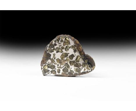 A highly polished slice of the Seymchan Meteorite with an exceptional number of transparent to translucent olivine inclusions