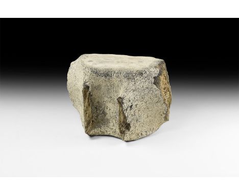 Miocene Period, 23-5.3 million years BP. A large Balaenoptera floridanus whale vertebra from the Bone Valley Phosphates, Leis