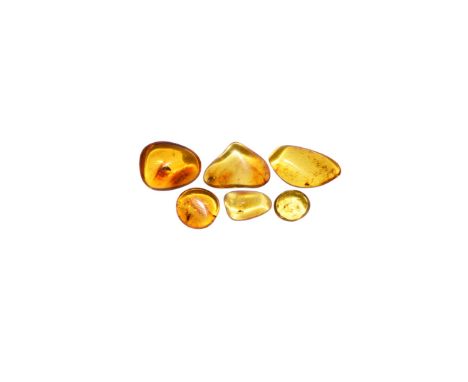 Oligocene Period, 45 million years BP. A group of six pieces of clear sun–orange coloured Baltic amber each containing flies 