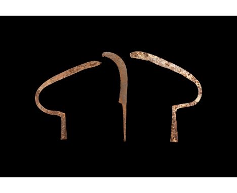 10th-15th century AD. A mixed group of iron tools comprising: two sickles each with split socket attachment; a reaping hook w