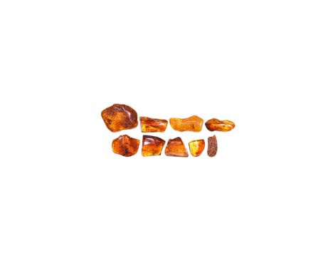 Oligocene Period, 45 million years BP. A group of nine pieces of sun-orange coloured Baltic amber each containing flies or ot