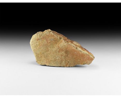 Late Cretaceous Period, 100-66 millions years BP. A rare Tyrannosaurus Rex fossil bone from the Hell Creek Formation, Montana