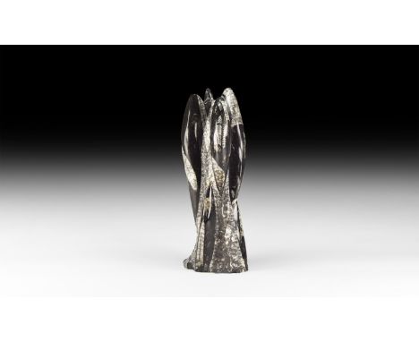 Devonian Period, 417-354 million years BP. A columnar stone block displaying orthoceras fossils, polished in matrix. 1.2 kg, 