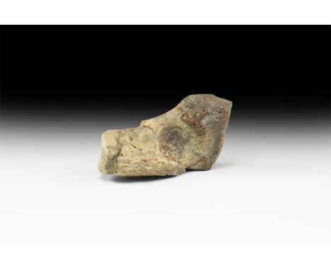 Cretaceous Period, 145-65 million years BP. A raptor dinosaur femur with a quartz crystal core from Judith River Formation, M