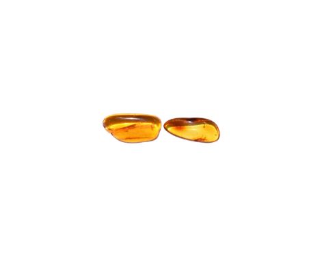 Oligocene Period, 45 million years BP. A group of two pieces of Baltic amber each containing flies together with other inclus