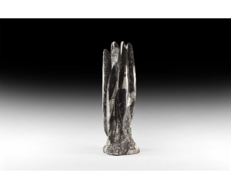 Palaeozoic Period, 350 million years BP. A free-standing Orthoceras fossil display, partly polished, from the Atlas Mountain 